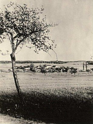 Kleinerkmannsdorf. Landschaft der Westlausitzer Platte