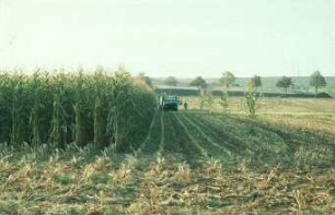 Fotografie: Ernteverfahren, Feldhäcksler selbstfahrend, Maissilage, Parallelverfahren
