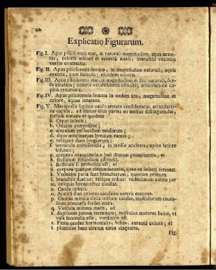 Explicatio Figurarum.