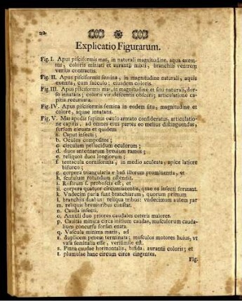 Explicatio Figurarum.