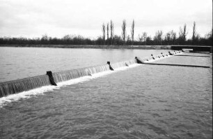 Burkheim: Rheinschwellen