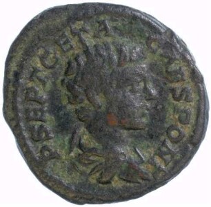 Münze, Denar, 200 - 202