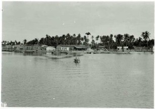 Maceió, Kokoswald zwischen Lagunen