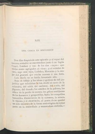 XIX - Una carga en dispersión