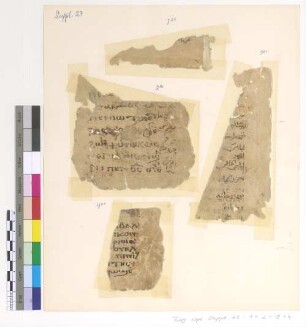 2: Psali for Saint Peter 3+4: Psali