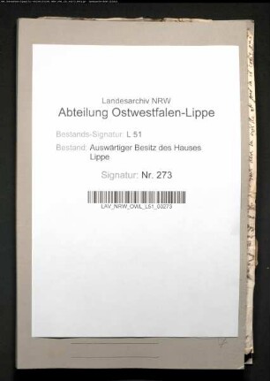 Familienkorrespondenz der Louise Christine von Brederode, geborene Solms