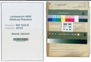 Entnazifizierung Heinrich Brandt , geb. 05.09.1894 (Arbeiter)