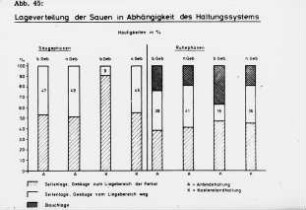Lageverteilung der Sauen in Abhängigkeit des Haltungssystems