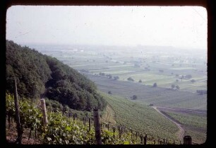 Blick Richtung Breisach am Rhein