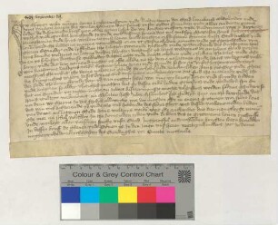 Bürgermeister und Ratsmannen von Krywitze bekunden für Bürgermeister, Ratsmannen und das Amt der "wullenwevere", dass Katherine Weltzyne nächste Erbin des in Lüneburg verstorbenen Hans Weltzynes sei und die Überbringer des Schreibens Vollmacht hätten, den Nachlass zu übernehmen.