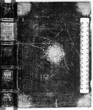 Smaragdi abbatis Diadema monachorum [u.a.] - BSB Clm 2539