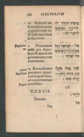 XXXVII.