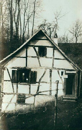 Schinzinger im Fenster eines Hauses in Heimersdorf, Haut-Rhin
