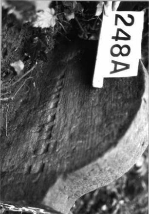 Grabstein 248 (Index: 99803359) Material: Sandstein Zustand: vorne verwitt/Textverl/eingesunken Maße HxBxT: 45x55x12 cm Beschreibung: Stele mit Karniesbogen und profiliertem Rand: Grabstein 248A