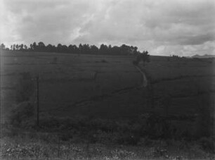 Landwirtschaftliche Anbauflächen : Blick auf landwirtschaftliche Anbauflächen.