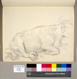 Liegender Stier