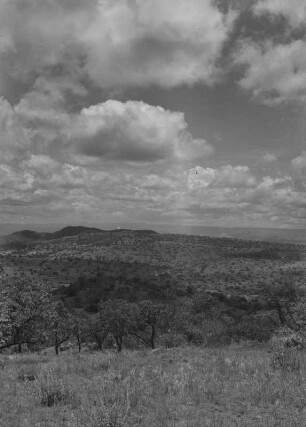 Panorama bei Amaro : Landschaftspanorama bei Amaro mit Bäumen und Sträuchern an den Hängen.