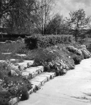 Im Garten