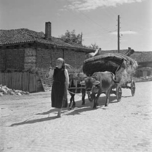 Alltagsbild. Landsleute unterwegs in Bansko