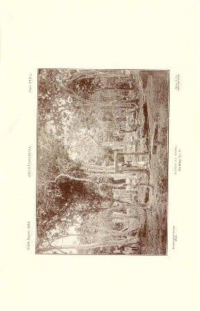 Plate XIX. A. Anurádhapura. Pankuliya ruins. Building No. 29.