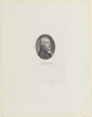 Bildnis des Naumann