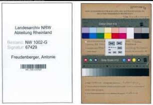 Entnazifizierung Antonie Freudenberger, geb. 27.02.1900 (Schneider)