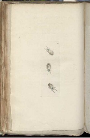 [Abb. 236]