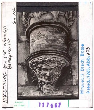 Magdeburg: Dom, südl. Seitenschiff, Blattkopfkonsole