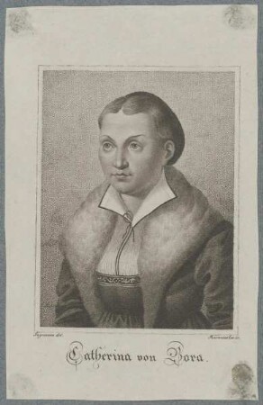 Bildnis der Catharina von Bora