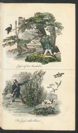 Tafel: Jagd auf den Auerhahn. Die Jagd wilder Änten.