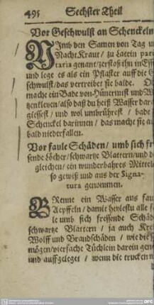 Heldenschatzes Sechster und Letzter Theil.