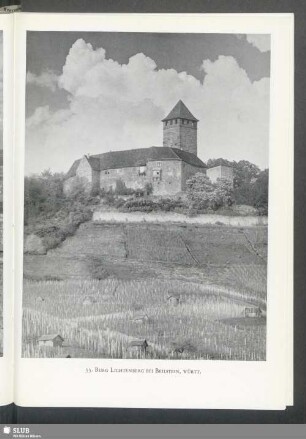Burg Lichtenberg bei Beilstein, Württ.