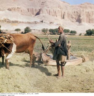 Ägypten: Erntearbeiten