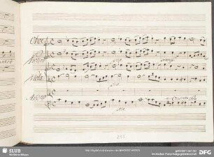 Aria: Tortorella abbandonata