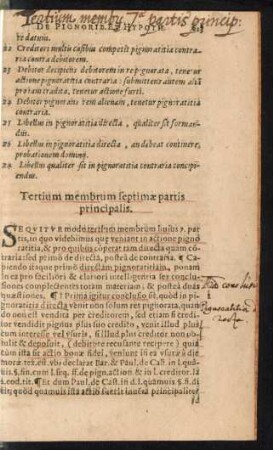 Tertium membrum septimae partis principalis.