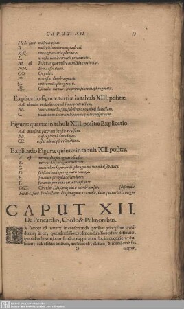 Caput XII. De Pericardio, Corde & Pulmonis