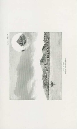 Lámina XXIV. Isla de Cuyo