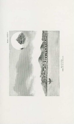 Lámina XXIV. Isla de Cuyo