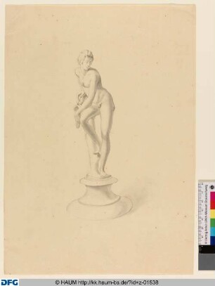 Bacchus (Frontansicht)