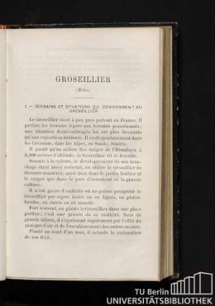 Groseillier (Ribes)