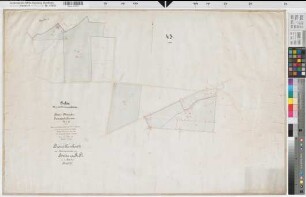 Greven (Greven), Rentengutsache Pentrup, Bl. 2 Brouillonkarte Greven Flur 43