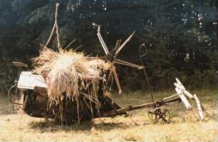 Fotografie: Bindemäher, Pferdeanspannung