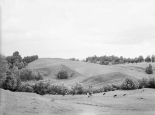 Simsertal. Blick nach Heilsberg (Lidzbark Warminski)