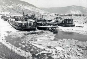 Eiswinter 1956 am Main
