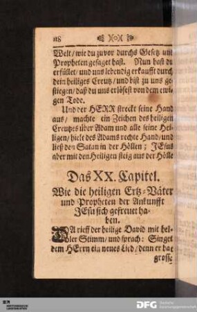 Das XX. Capitel.