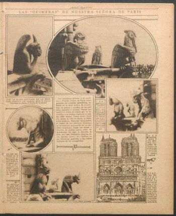 Las "quimeras" de nuestra Señora de París [Fotografías y dibujo]