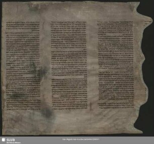 9,8,2: Aus dem Buch Levitikus - Mscr.Dresd.App.2380,9,Nr.2 : [Fragment einer Thora-Rolle]