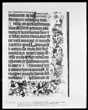 Psalterium aus Sankt Ulrich in Augsburg — ---, Folio 36 recto---, Folio 36 rectoBordüre