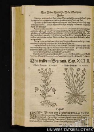 Cap. XCIIII. Von wildem Bertram.