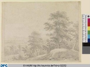 Baumlandschaft